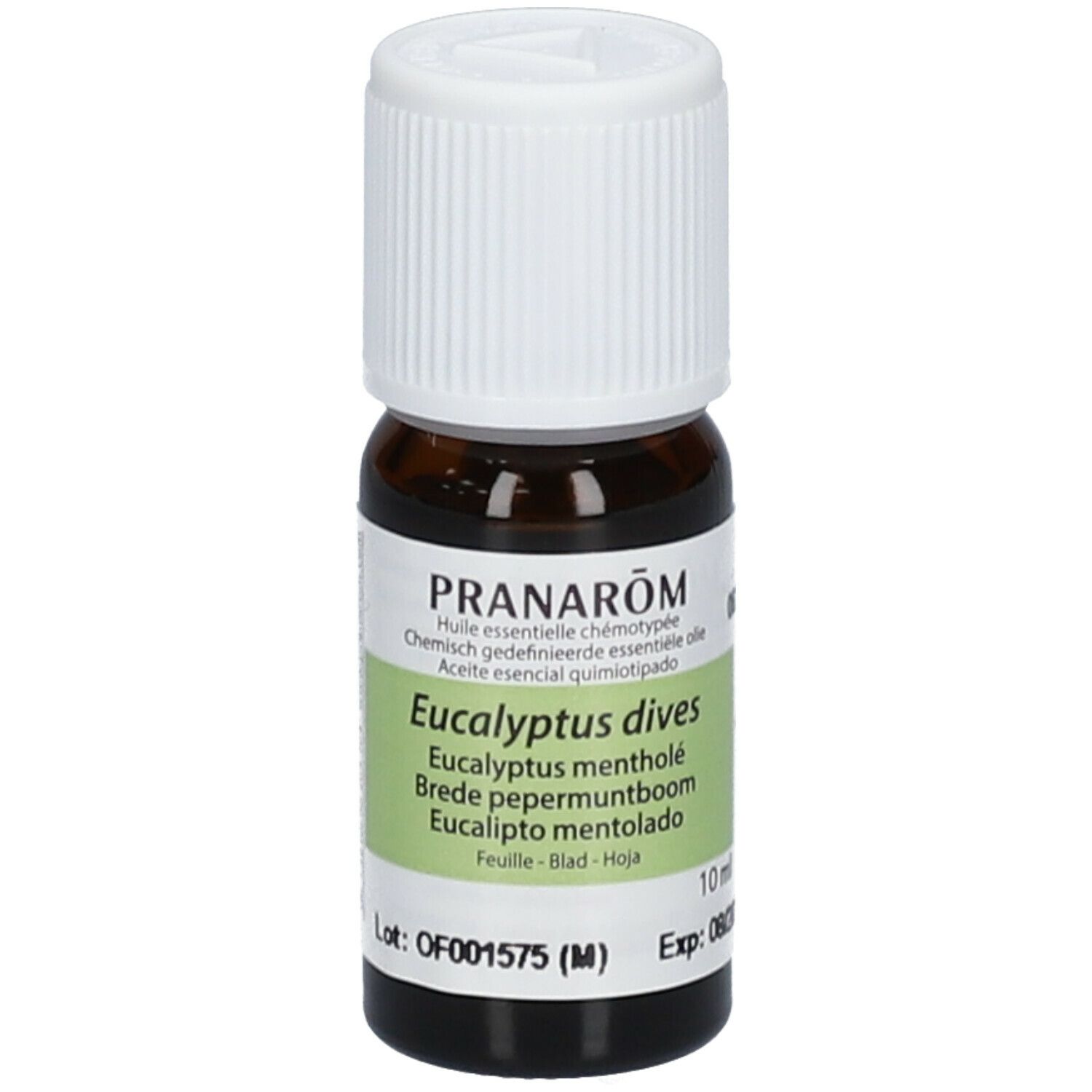 Pranarom huile essentielle eucalyptus mentholé