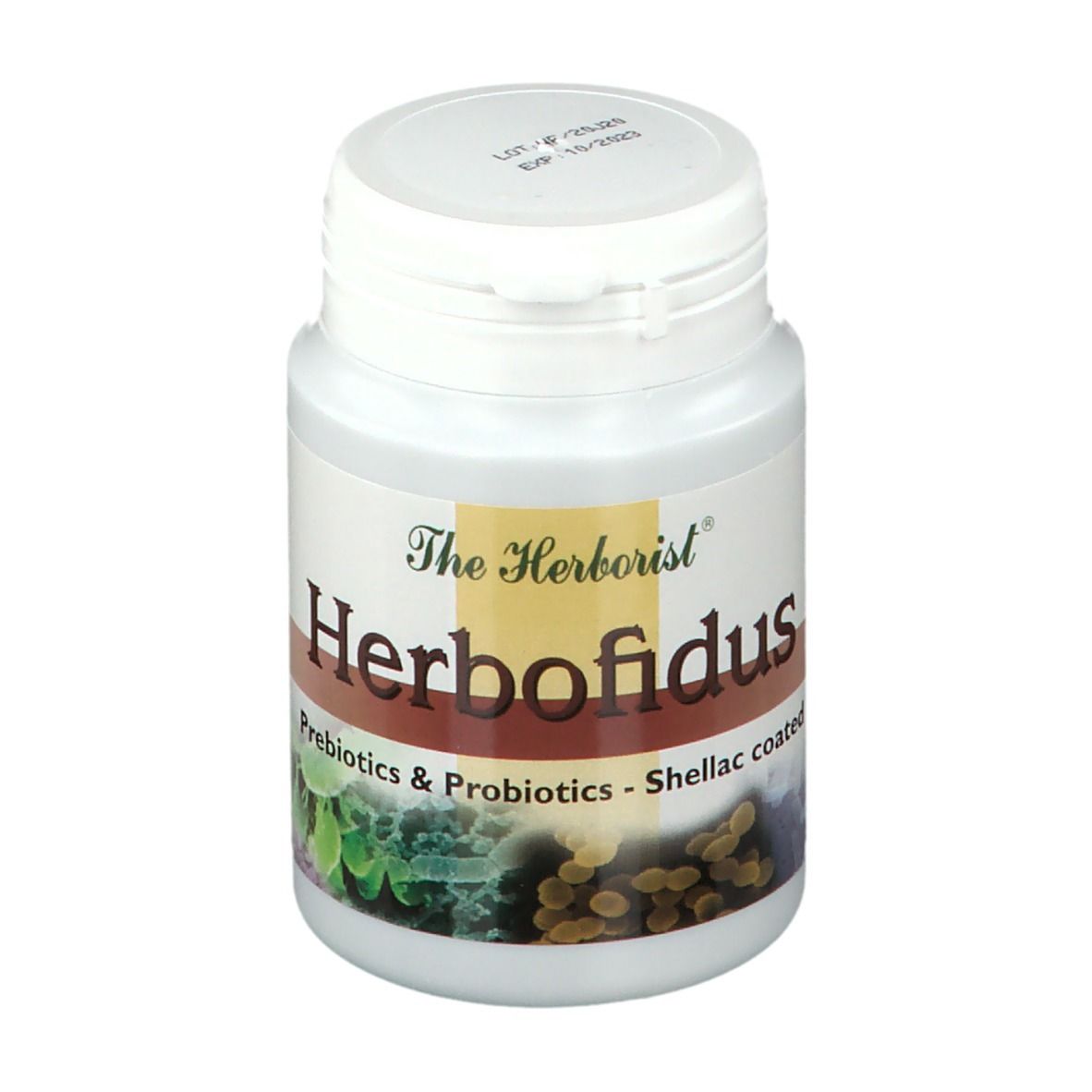 Herborist Herbofidus