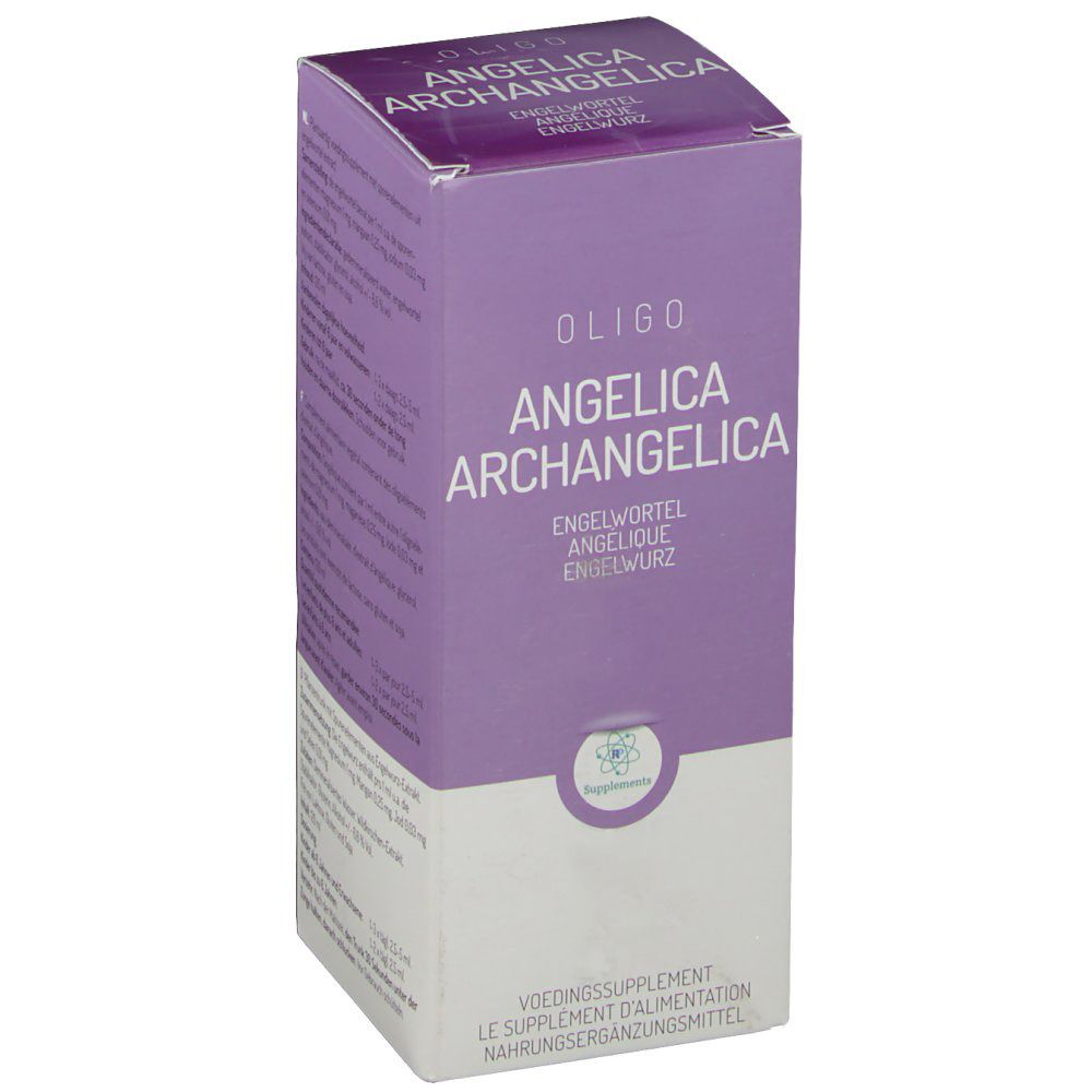 Oligoplant Angelique (Angelica Archangelica)