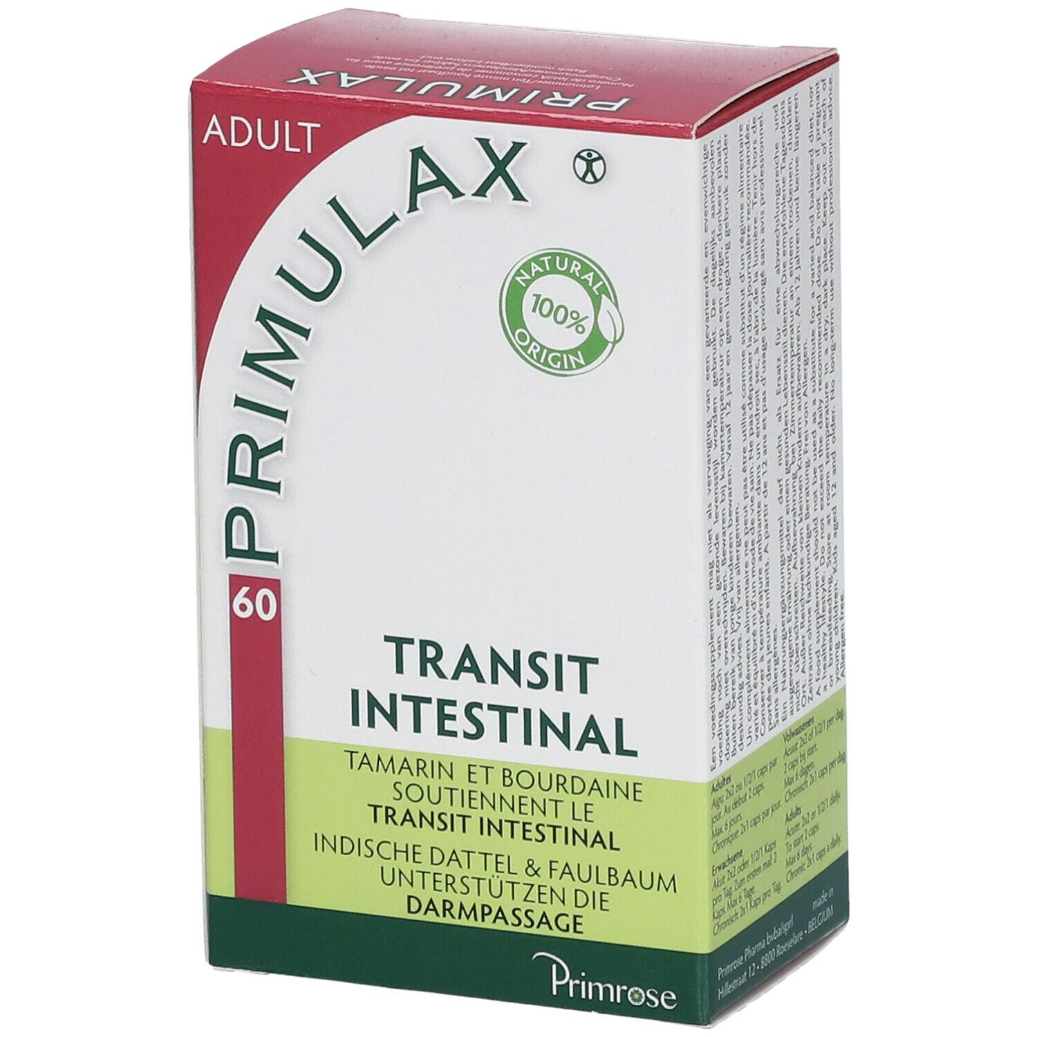 Primrose Primulax Transit intestinal