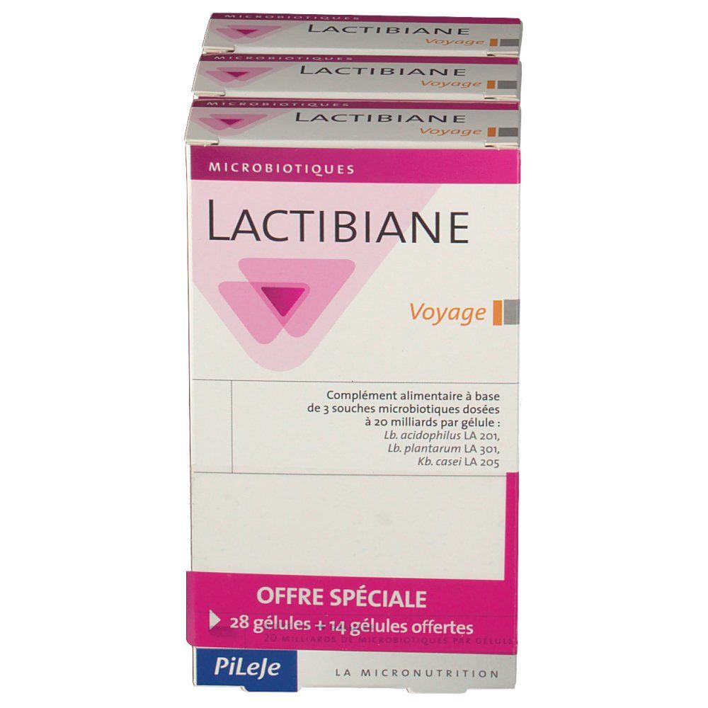 lactibiane voyage femme enceinte