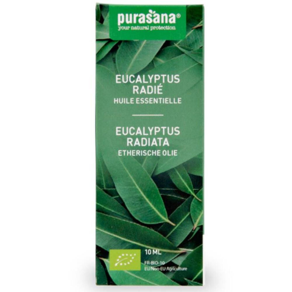 Purasana Huile d'eucalyptus radiata