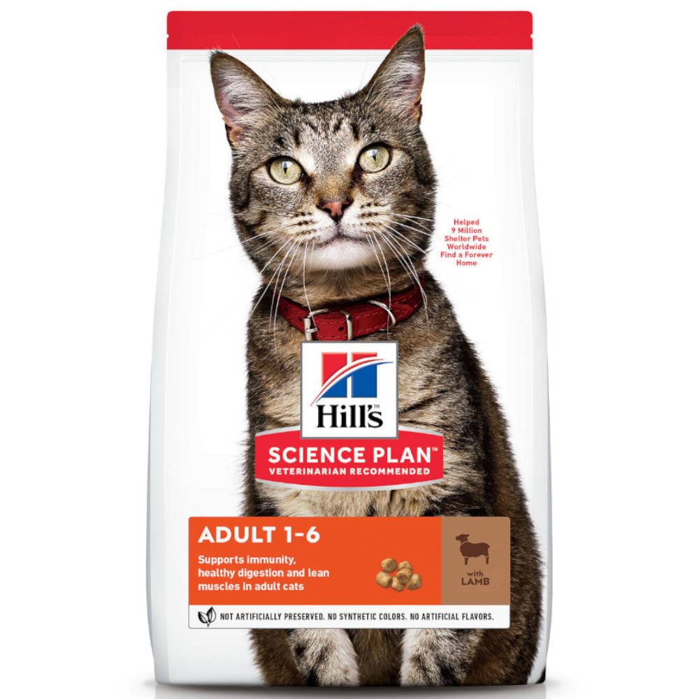 Hill's™ Science Plan™ Feline Chat Adulte Agneau & Riz