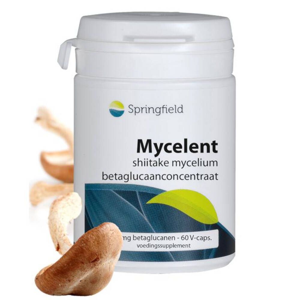 Springfield Mycelent concentré de bêta-glucane de mycélium shiitake