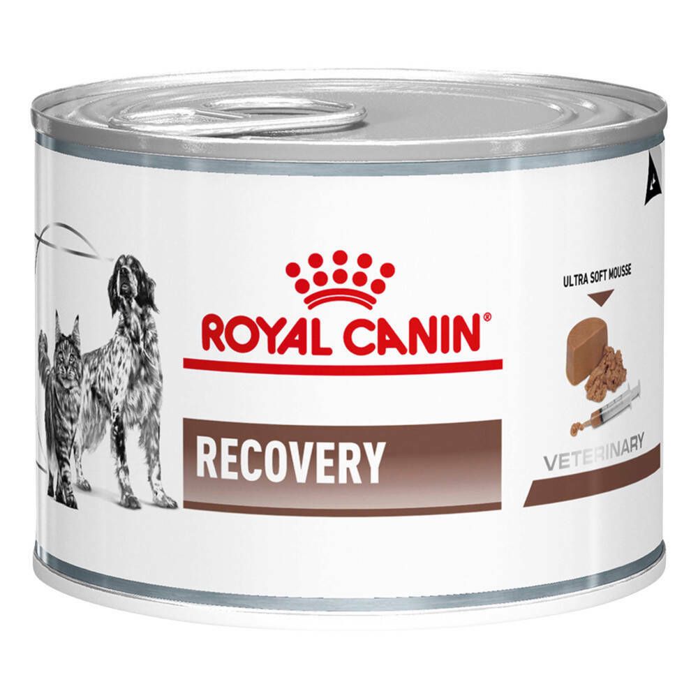Royal Canin® Canine/Feline Recovery
