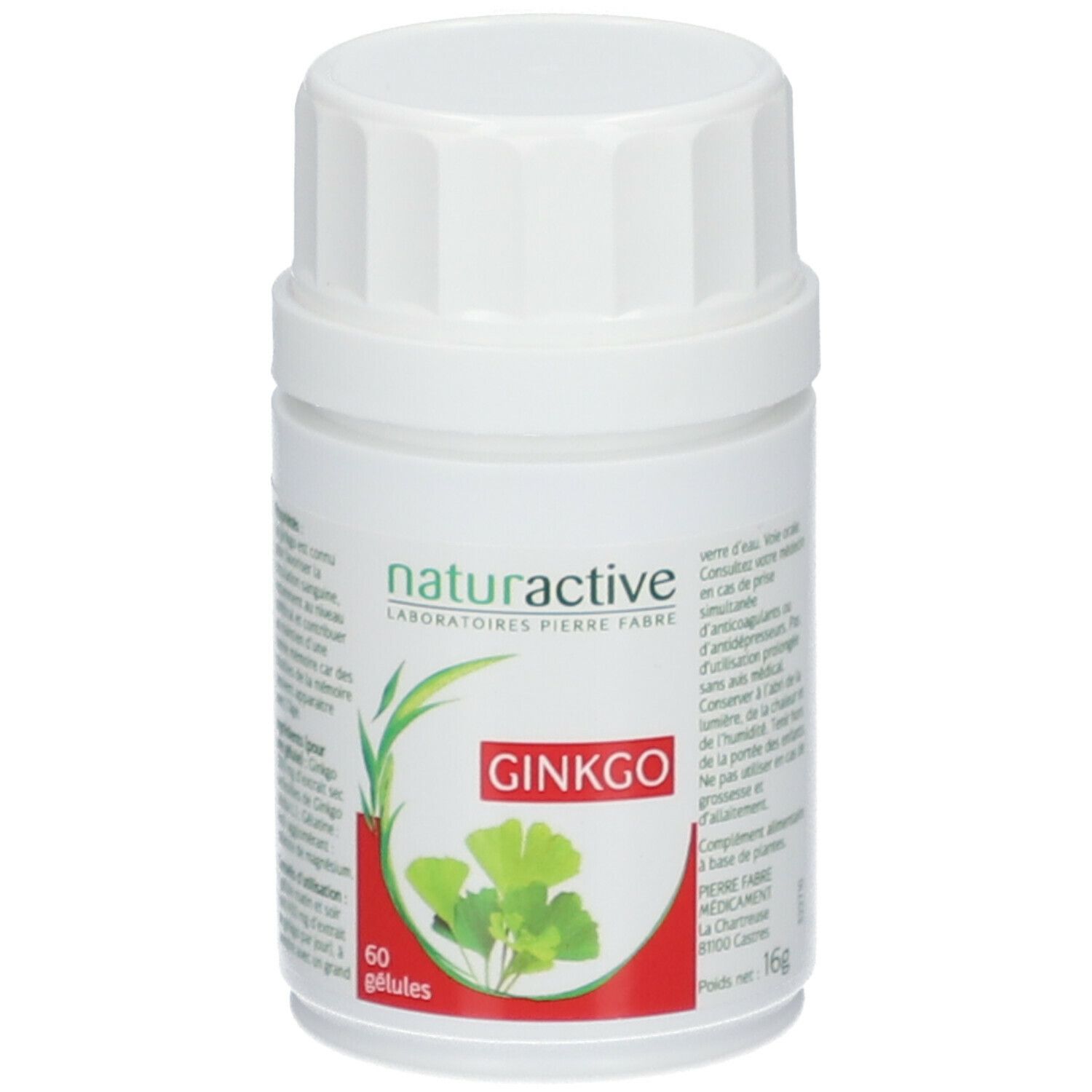 Naturactive Ginkgo