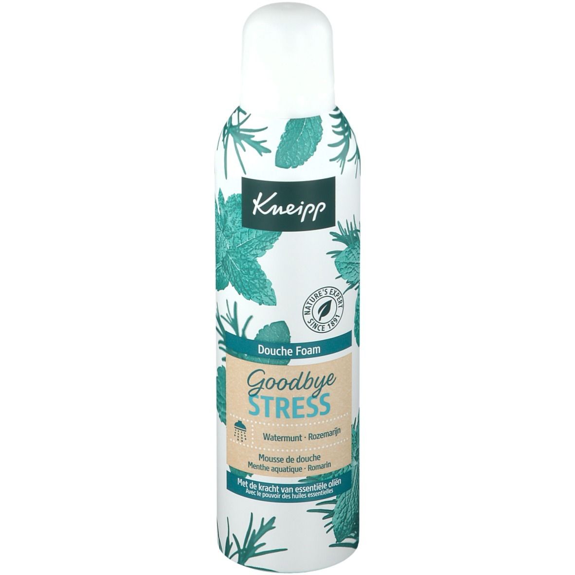 Kneipp® Mousse de douche Goodbye Stress Menthe aquatique - Romarin