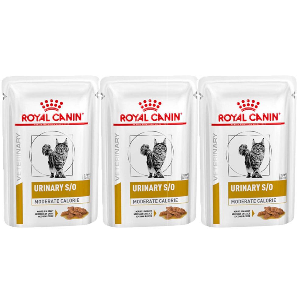 Royal canin urinary so moderate calorie clearance morsels in gravy