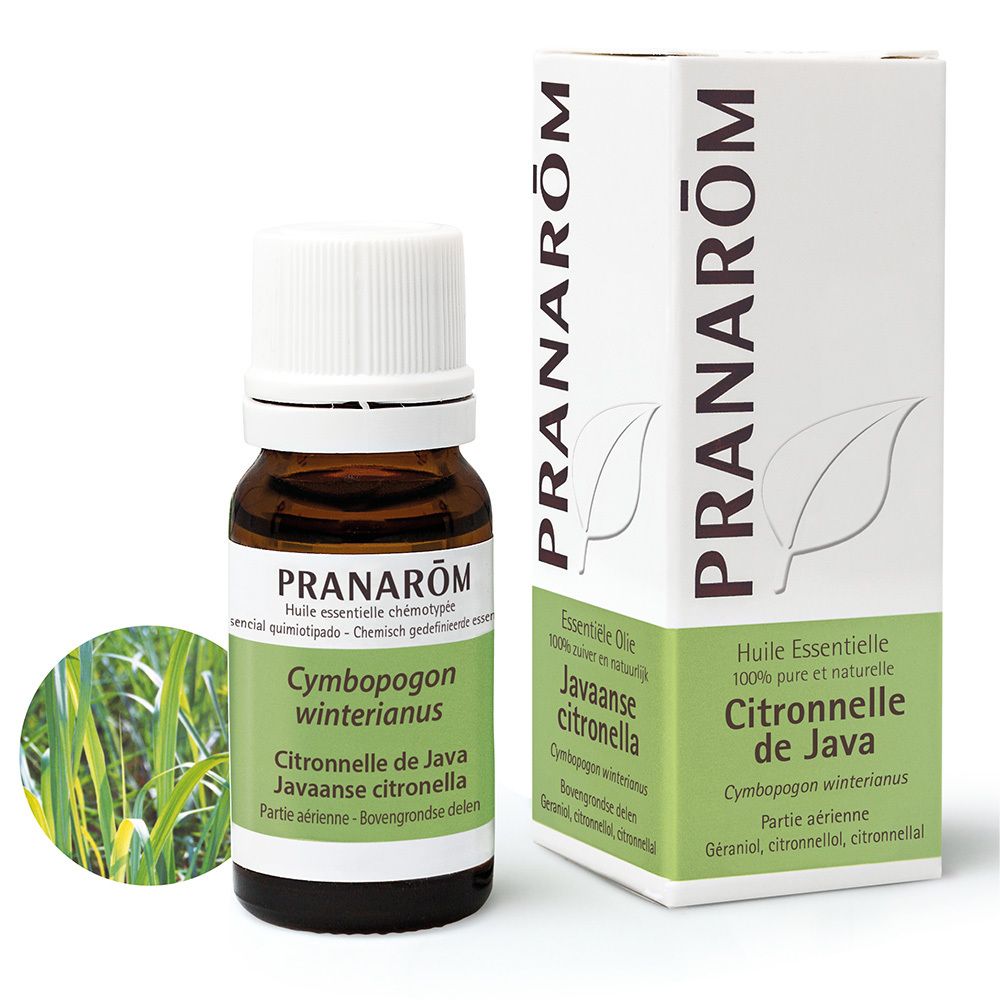 Pranarom Pranarôm Huile Essentielle Citronnelle De Java Bio 10 Ml Enfants - Image 1