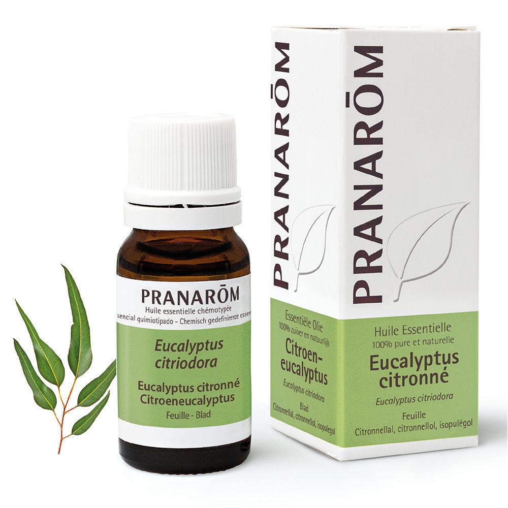 Pranarom Pranarôm Huile Essentielle Eucalyptus Citronné 10 Ml Enfants - Image 1