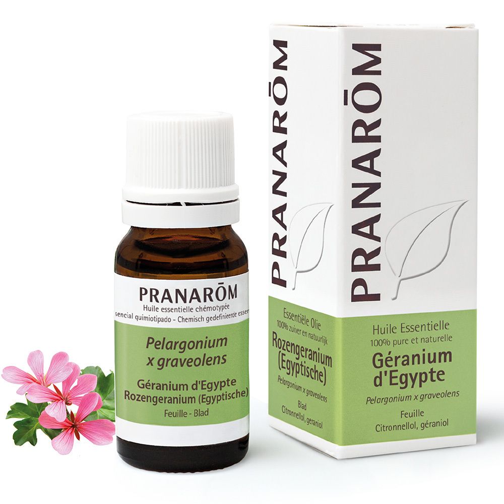 Pranarôm Huile Essentielle Geranium 10Ml - Image 2