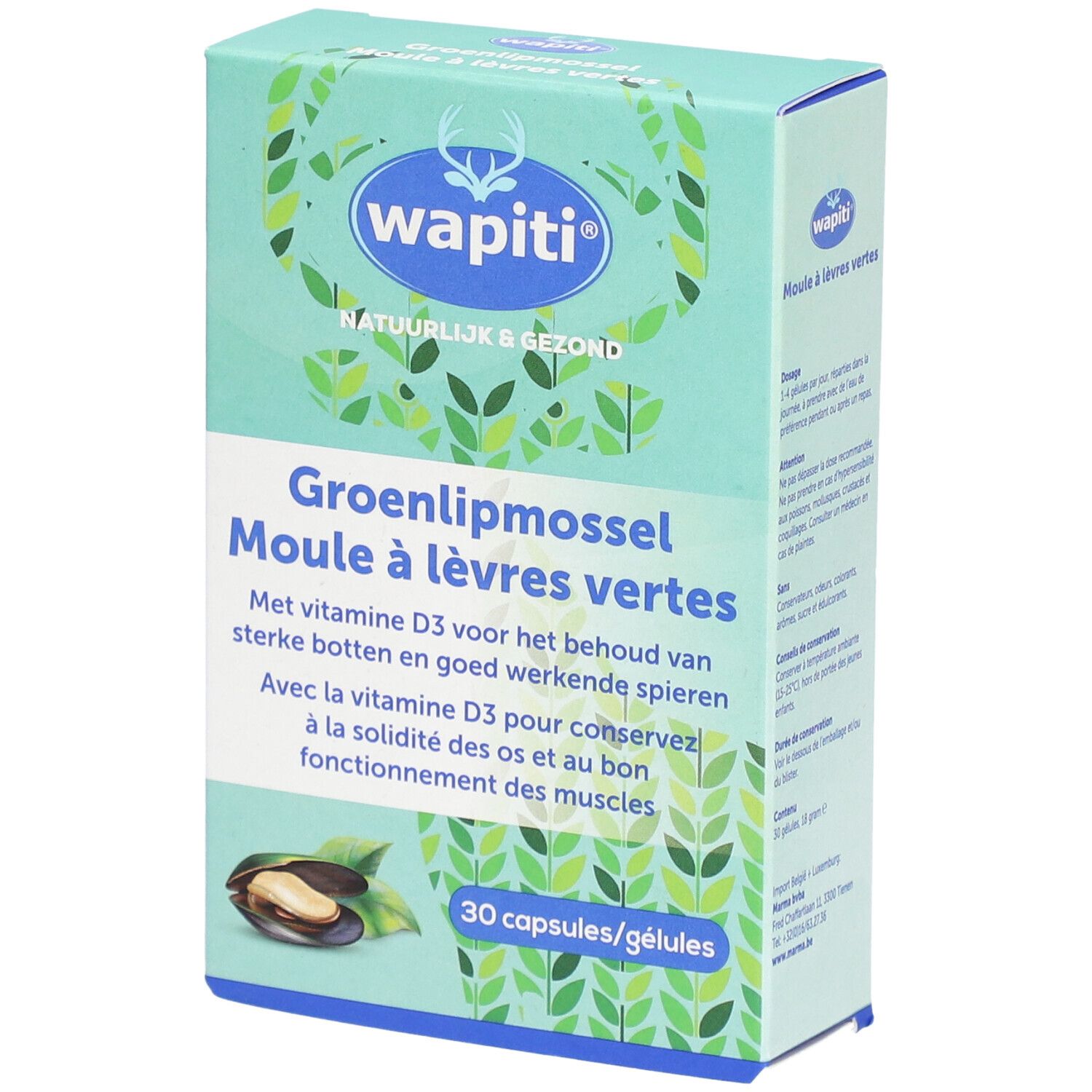 Wapiti Moule à lèvres vertes 30 pc(s) Capsule(S)