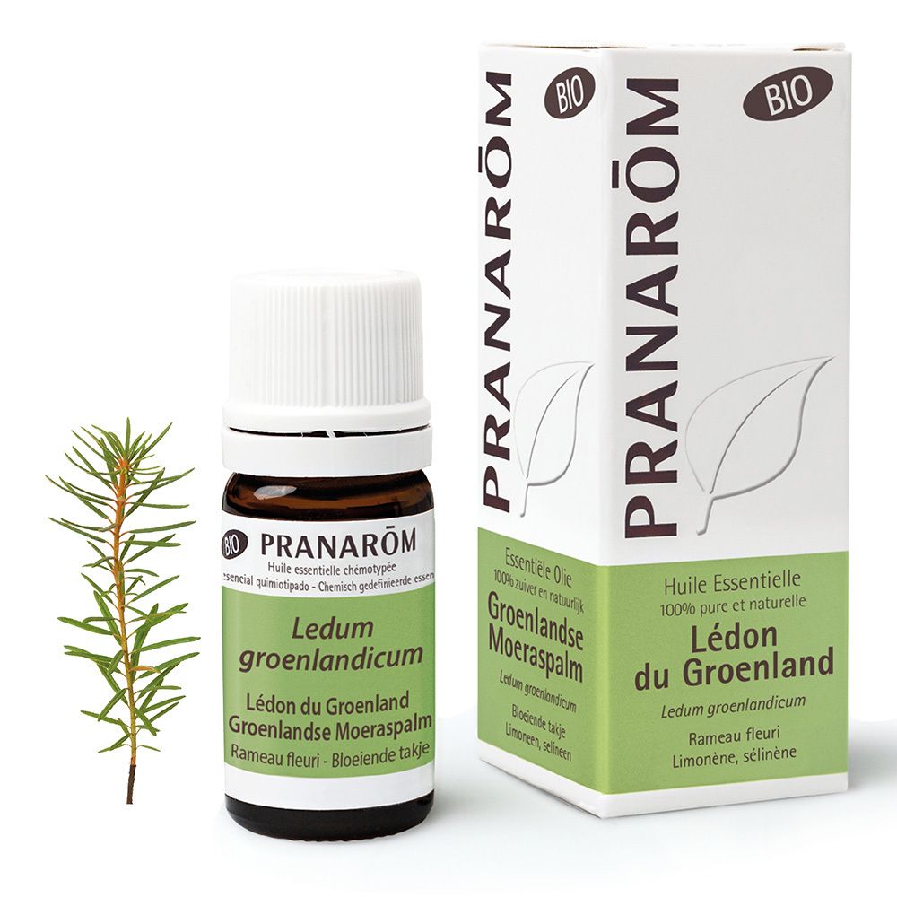 Pranarom Huile Essentielle Lédon du Groenland Bio 5 ml