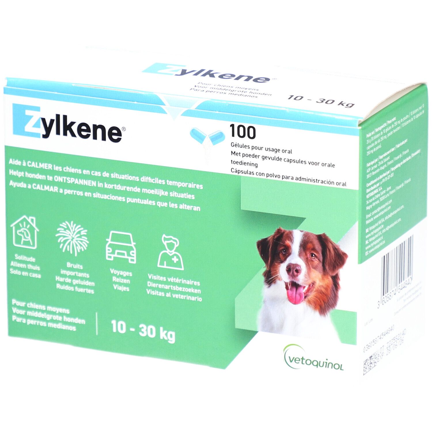 ZYLKENE 225 mg 100 pc(s) Capsule(S)