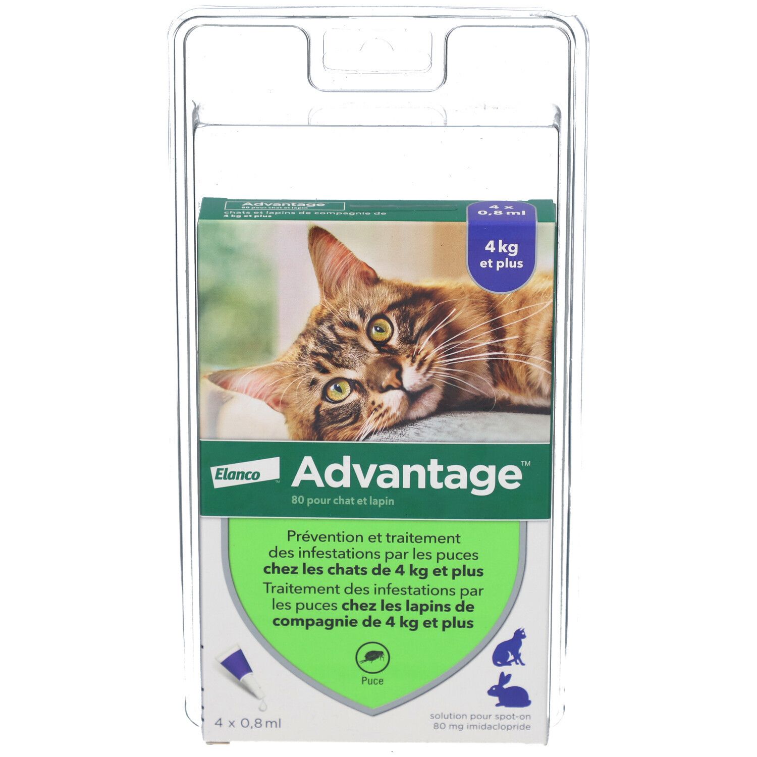 Advantage 80 pour chat et lapin 4 pc(s) Pipette(S) Unidose(S)