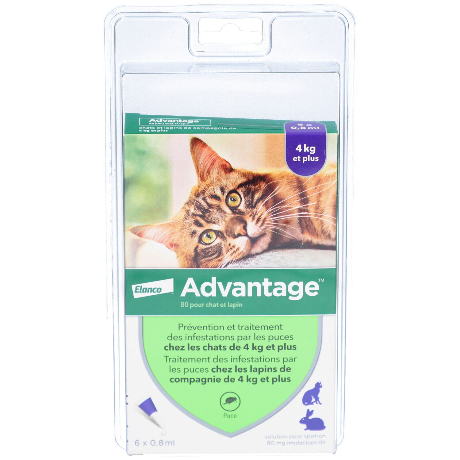 Advantage 80 pour chat et lapin 6x0,8 ml Pipette(S) Unidose(S)