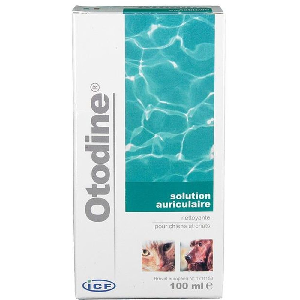 Otodine Lotion Auriculaire 100 ml Goutte(S) Auriculaire(S)