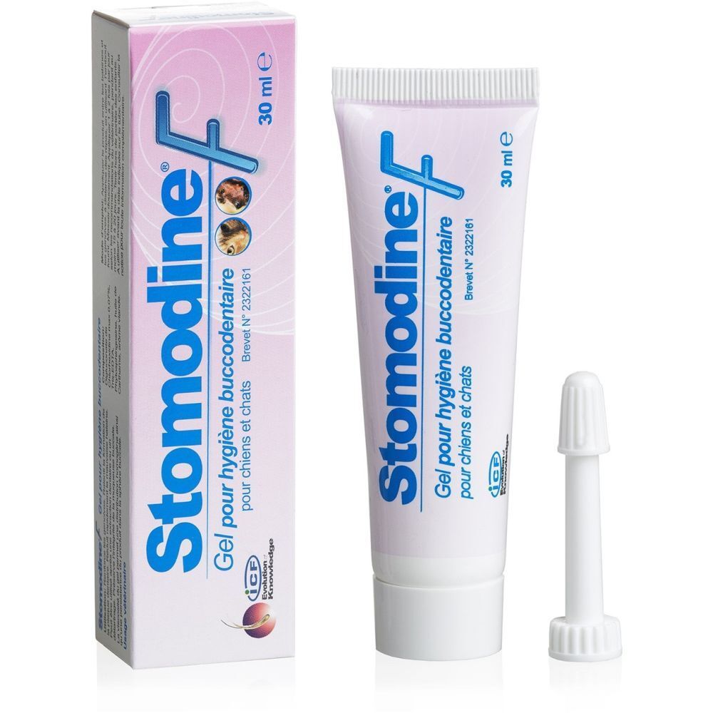 ICF Stomodine F 30 ml Gel Dentaire