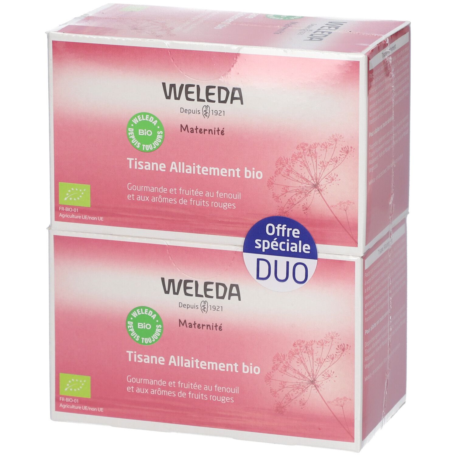 WELEDA Tisane Allaitement Bio Fruits rouges 20 pc(s) Sachet(S)