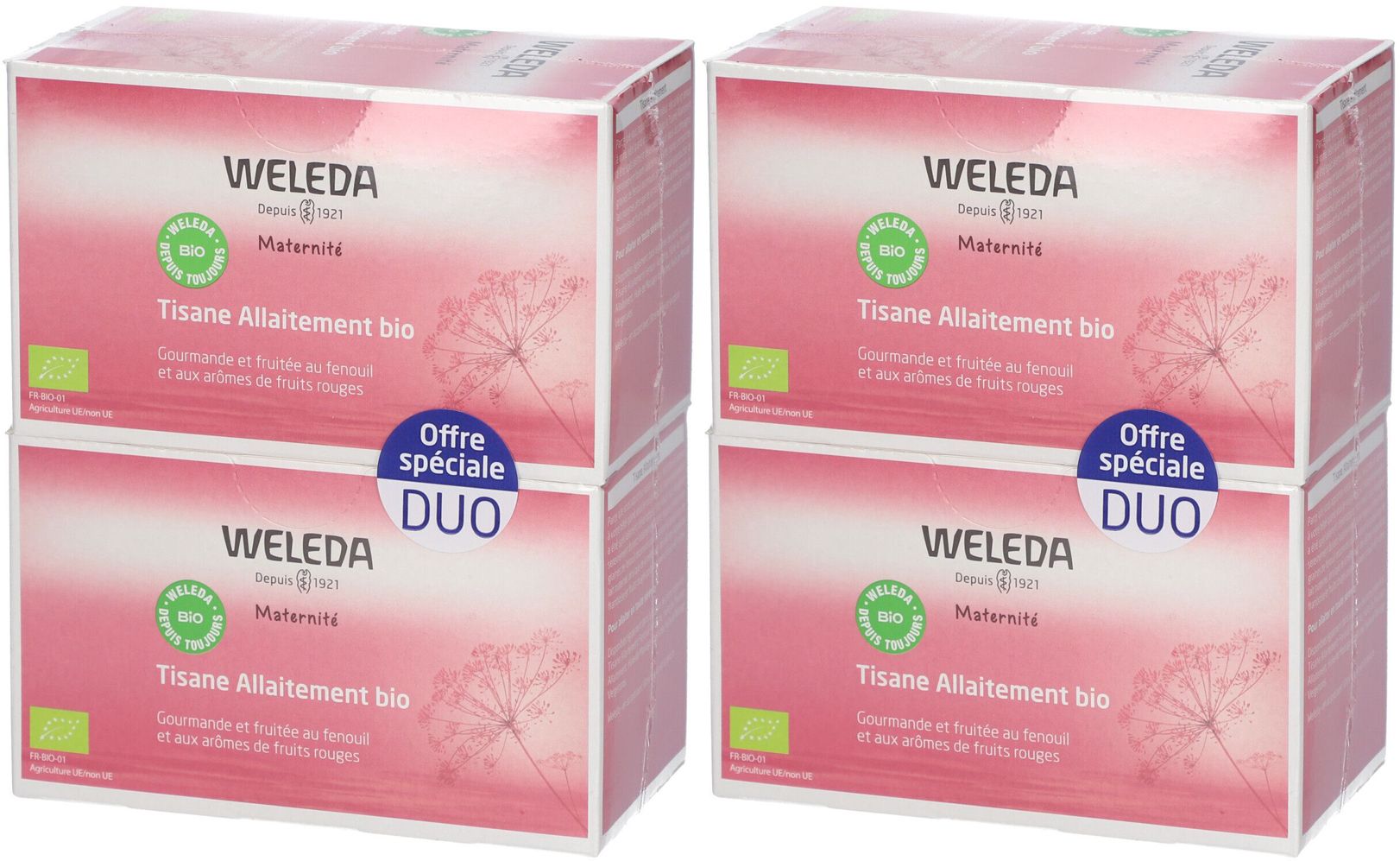 WELEDA Tisane Allaitement Bio Fruits rouges 2x20 pc(s) Sachet(S)