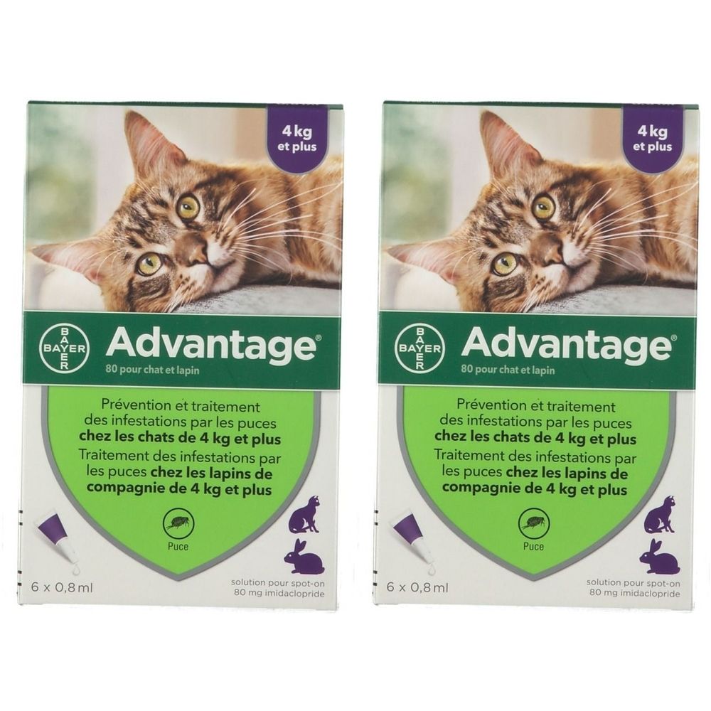 Advantage 80 pour chat et lapin 2x6x0,8 ml Pipette(S) Unidose(S)