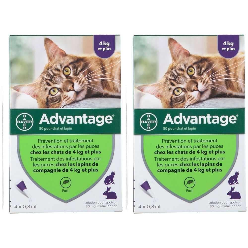 Advantage 80 pour chat et lapin 2x4 pc(s) Pipette(S) Unidose(S)