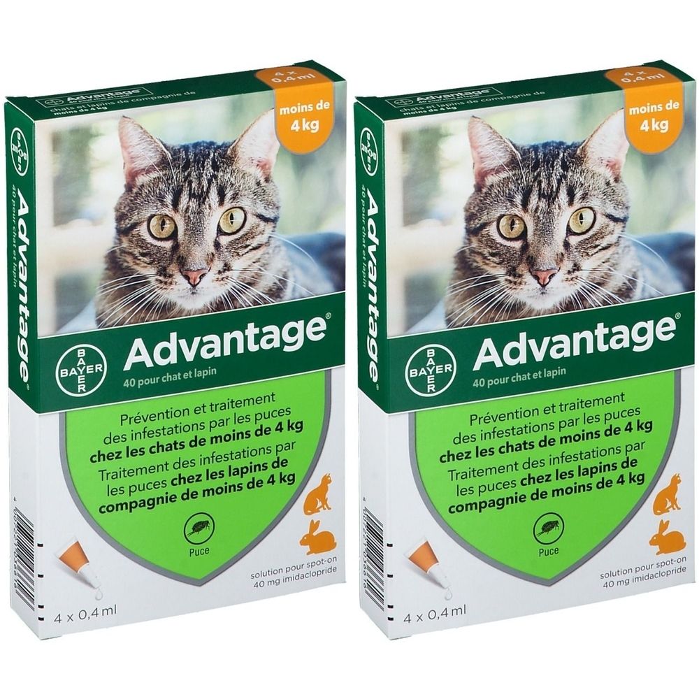 Advantage 40 pour chat et lapin 2x4x0,4 ml Pipette(S) Unidose(S)