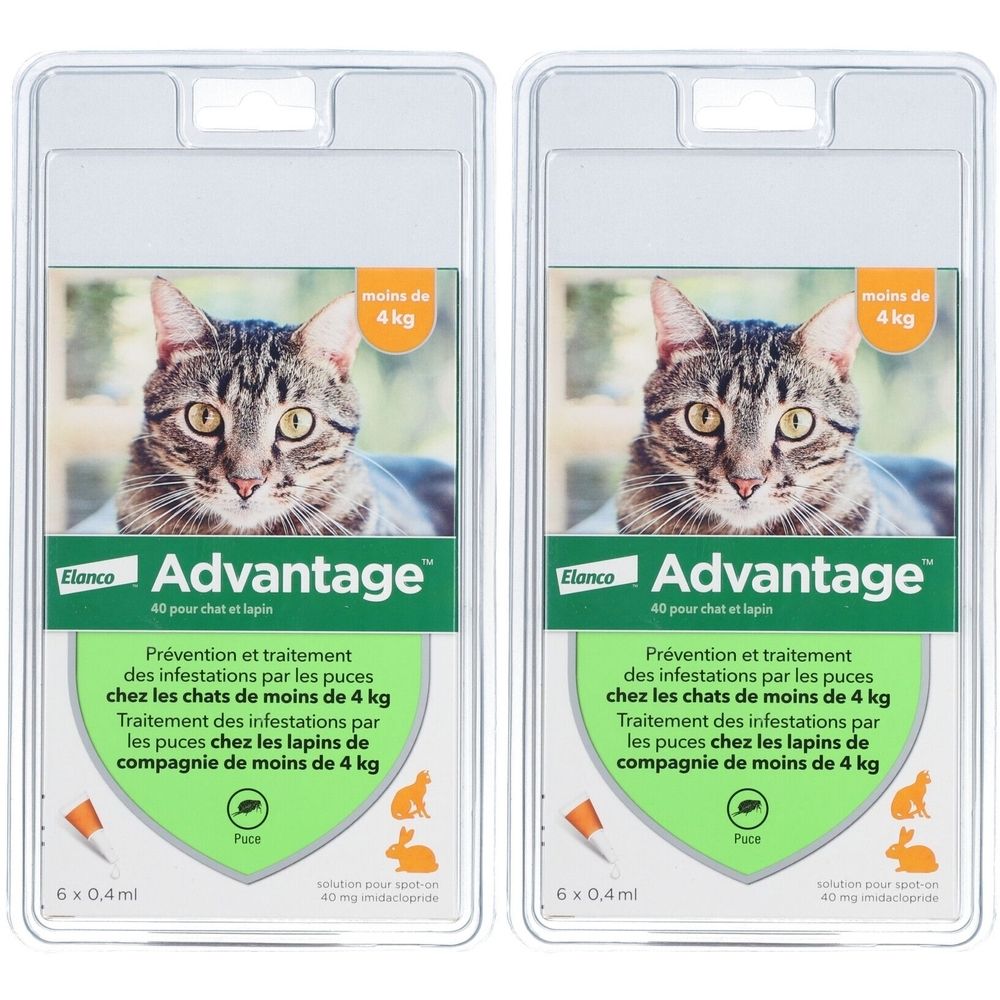 Advantage 40 pour chat et lapin 2x6 pc(s) Pipette(S) Unidose(S)