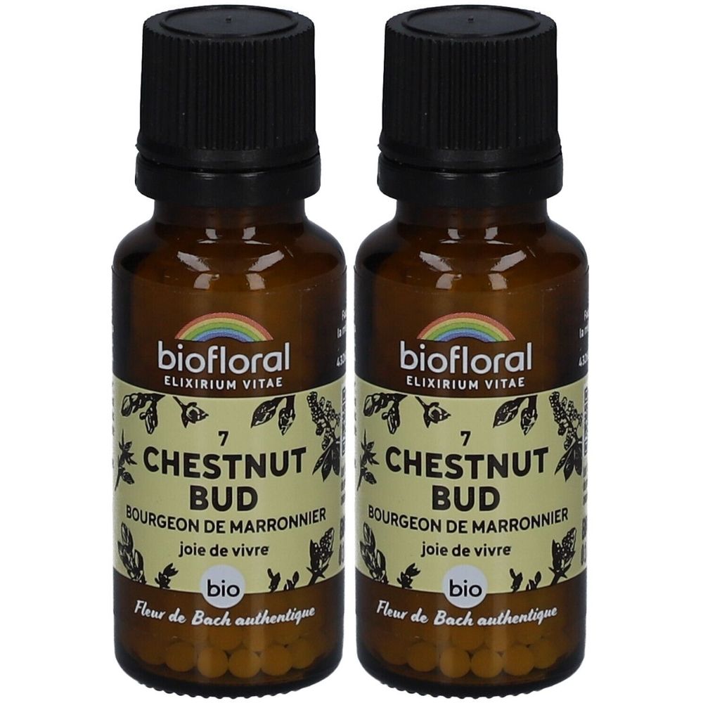 BIOFLORAL Chestnut Bud - Bourgeon de Marronnier Bio Granulés 2x19,5 g